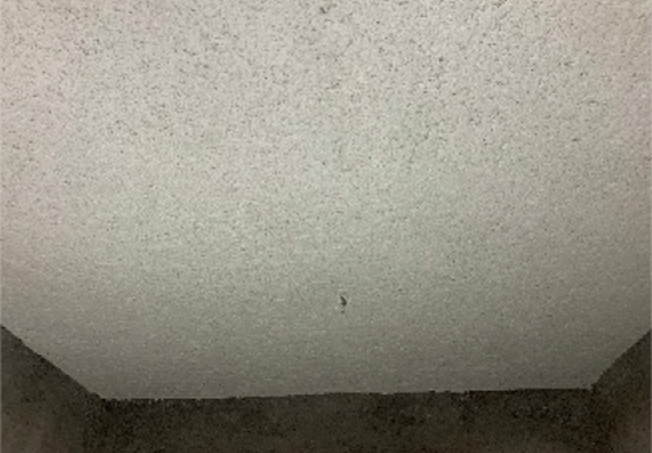 超細(xì)無機(jī)纖維噴涂-壓平后